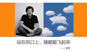 当创业的风停下来 很多猪也从天上掉下来的时候