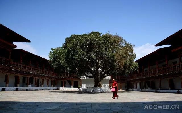 最美的不丹旅游攻略——黄小明大师的神秘不丹之旅