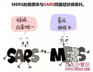 MERS到底有多可怕？什么人易被感染？