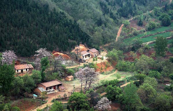 陕西出台农村住房保险实施方案