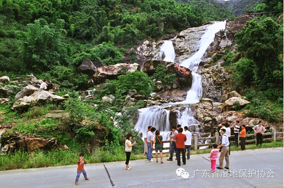 广东最美湿地由你定！