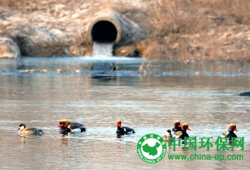 义乌一饰品厂老板涉嫌污水直排重大环境污染罪 湖北省长称化解产能过剩要做好加减法