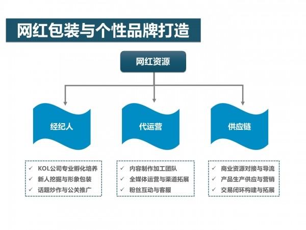 网红经济26