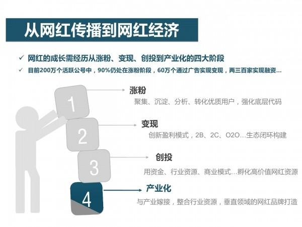 网红经济19