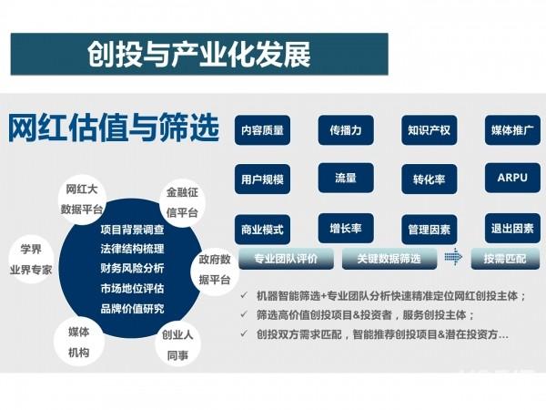 网红经济14