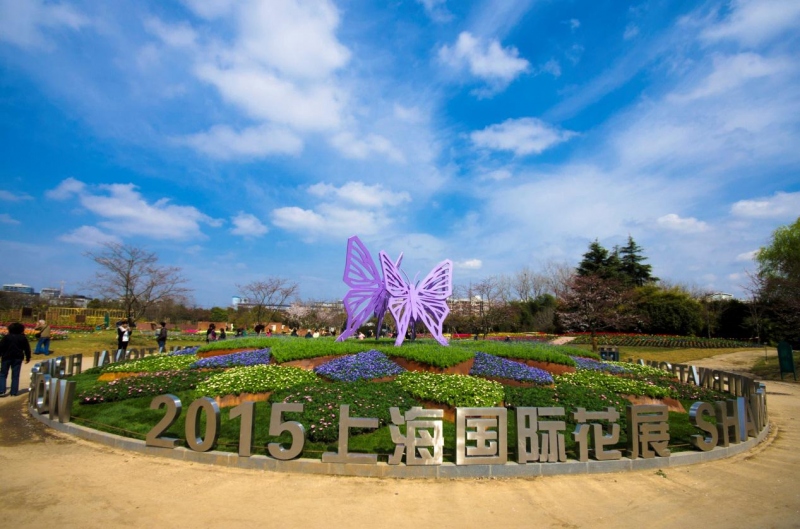 2015上海（国际）花展即将落幕，家庭园艺概念深入人心