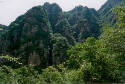 可野营可垂钓可骑行！天津清明八大踏青地推荐